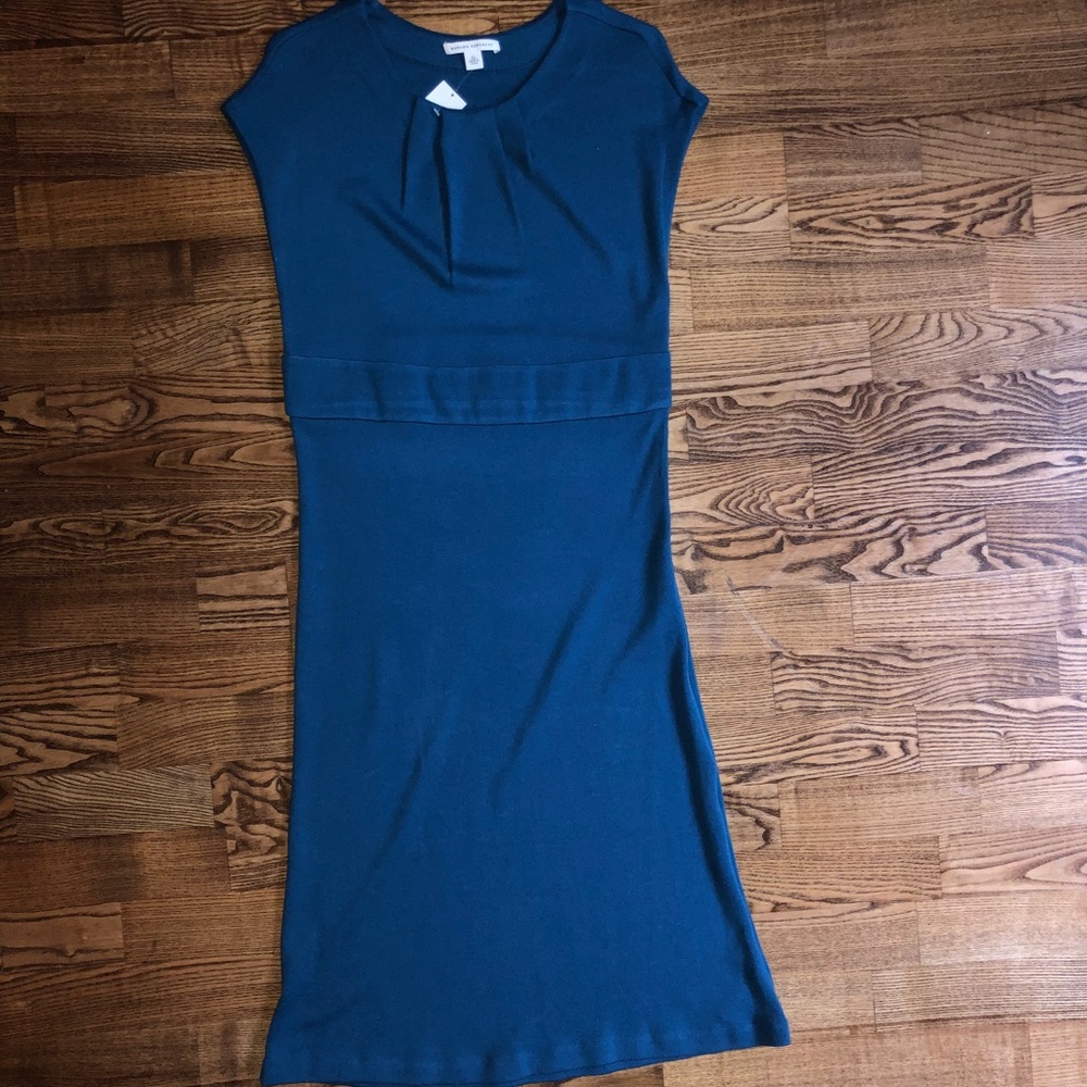Banana Republic Blue Dress